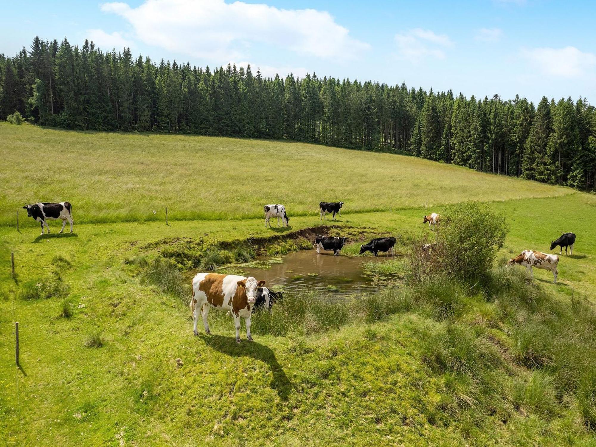 Ferienwohnung Duffner Schonach im Schwarzwald Luaran gambar