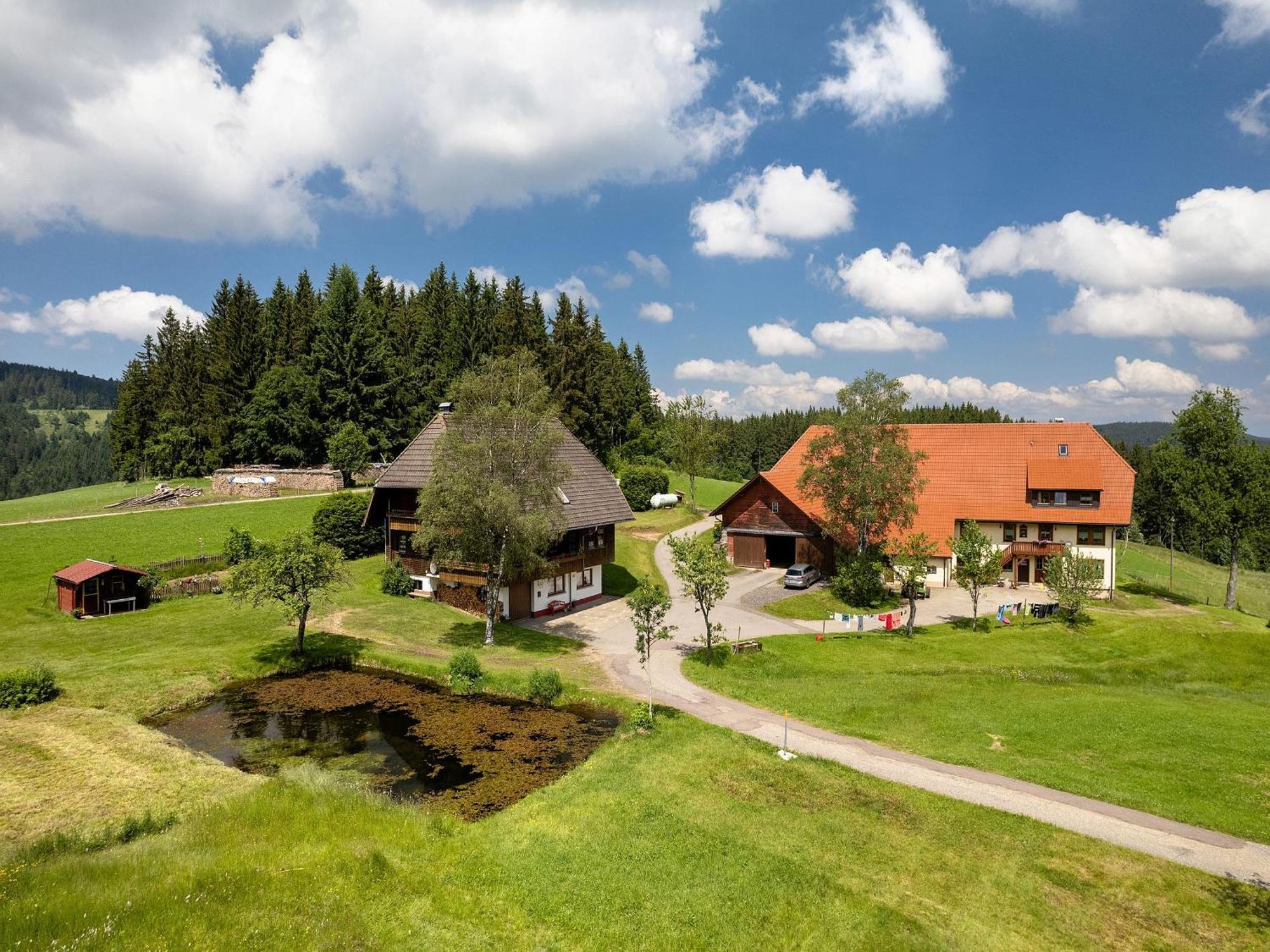 Ferienwohnung Duffner Schonach im Schwarzwald Luaran gambar