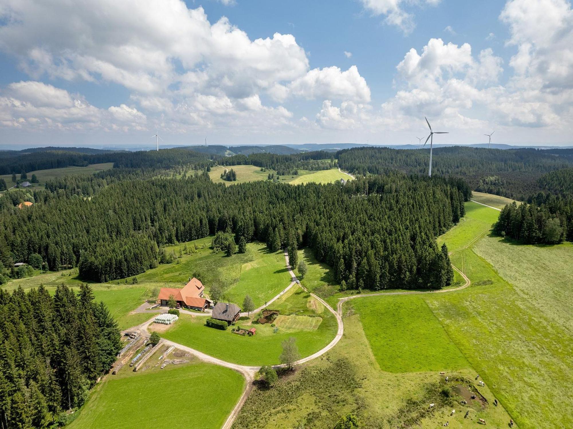Ferienwohnung Duffner Schonach im Schwarzwald Luaran gambar